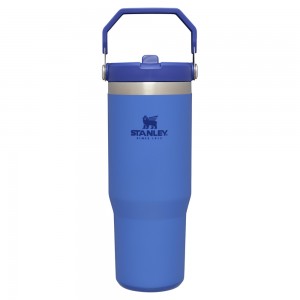 Stanley THE ICEFLOW™ FLIP STRAW TUMBLER | 30 OZ Iris | 73845-BUHP