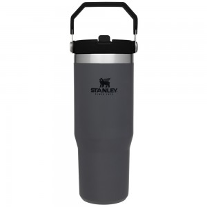 Stanley THE ICEFLOW™ FLIP STRAW TUMBLER | 30 OZ Charcoal | 92563-KYWE