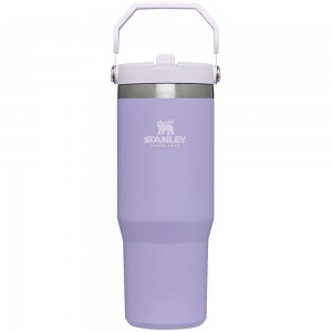 Stanley THE ICEFLOW™ FLIP STRAW TUMBLER | 30 OZ Lavender | 82507-ZWPG