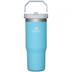 Stanley THE ICEFLOW™ FLIP STRAW TUMBLER | 30 OZ Pool | 45610-NELS