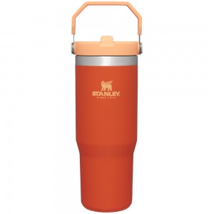 Stanley THE ICEFLOW™ FLIP STRAW TUMBLER | 30 OZ Tigerlily | 87603-ZQDM