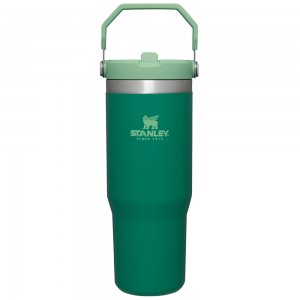 Stanley THE ICEFLOW™ FLIP STRAW TUMBLER | 30 OZ Alpine | 06279-LIPC