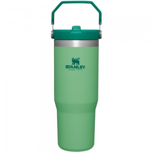 Stanley THE ICEFLOW™ FLIP STRAW TUMBLER | 30 OZ Jade | 85146-BSNY