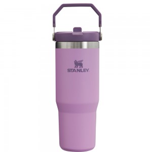 Stanley THE ICEFLOW™ FLIP STRAW TUMBLER | 30 OZ Lilac | 94657-ZQGY