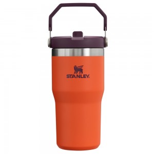 Stanley THE ICEFLOW™ FLIP STRAW TUMBLER | 20 OZ Tigerlily Plum | 72349-YMDQ