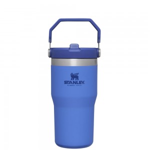 Stanley THE ICEFLOW™ FLIP STRAW TUMBLER | 20 OZ Iris | 17895-RTZG