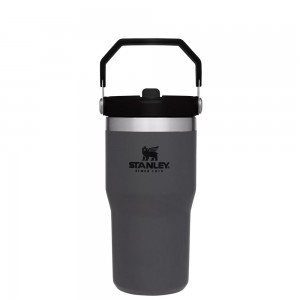 Stanley THE ICEFLOW™ FLIP STRAW TUMBLER | 20 OZ Charcoal | 63025-RPWO