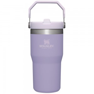 Stanley THE ICEFLOW™ FLIP STRAW TUMBLER | 20 OZ Lavender | 93572-RICH