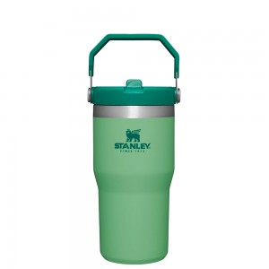 Stanley THE ICEFLOW™ FLIP STRAW TUMBLER | 20 OZ Jade | 83291-XESF