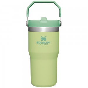 Stanley THE ICEFLOW™ FLIP STRAW TUMBLER | 20 OZ Citron | 79543-FCZE