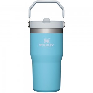 Stanley THE ICEFLOW™ FLIP STRAW TUMBLER | 20 OZ Pool | 18742-WQAU