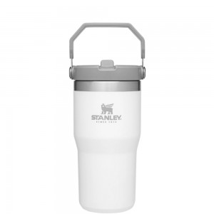 Stanley THE ICEFLOW™ FLIP STRAW TUMBLER | 20 OZ Polar | 02568-AECQ