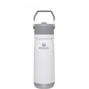 Stanley THE ICEFLOW™ FLIP STRAW WATER BOTTLE | 22 OZ Polar | 87350-BSQN