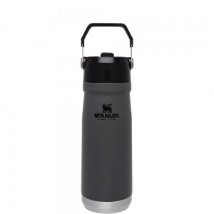 Stanley THE ICEFLOW™ FLIP STRAW WATER BOTTLE | 22 OZ Charcoal | 09573-GDJC