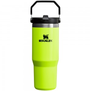 Stanley THE NEON ICEFLOW™ FLIP STRAW TUMBLER | 30 OZ Neon Yellow | 29537-RWQN