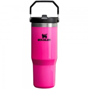 Stanley THE NEON ICEFLOW™ FLIP STRAW TUMBLER | 30 OZ Electric Pink | 81349-FZWC