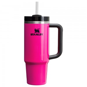 Stanley THE NEON QUENCHER H2.0 FLOWSTATE™ TUMBLER | 30 OZ Electric Pink | 52810-QGOJ