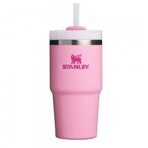 Stanley THE QUENCHER H2.0 FLOWSTATE™ TUMBLER | 20 OZ Peony | 51823-ODSQ