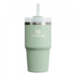 Stanley THE QUENCHER H2.0 FLOWSTATE™ TUMBLER | 20 OZ Matcha Cream | 61873-KPBT