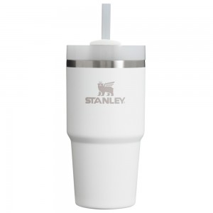 Stanley THE QUENCHER H2.0 FLOWSTATE™ TUMBLER | 20 OZ Frost | 30269-POHN