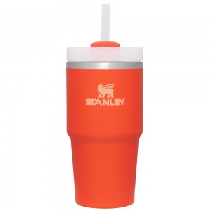 Stanley THE QUENCHER H2.0 FLOWSTATE™ TUMBLER | 20 OZ Tigerlily | 82510-GLBD