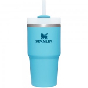 Stanley THE QUENCHER H2.0 FLOWSTATE™ TUMBLER | 20 OZ Pool | 95046-UEGI