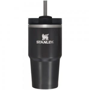 Stanley THE QUENCHER H2.0 FLOWSTATE™ TUMBLER | 20 OZ Black Glow | 89457-FJYK