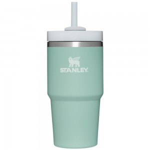 Stanley THE QUENCHER H2.0 FLOWSTATE™ TUMBLER | 20 OZ Eucalyptus | 65982-FKZP