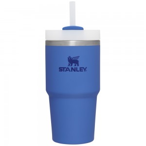 Stanley THE QUENCHER H2.0 FLOWSTATE™ TUMBLER | 20 OZ Iris | 08612-ZRPW