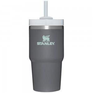 Stanley THE QUENCHER H2.0 FLOWSTATE™ TUMBLER | 20 OZ Charcoal | 79316-LKOF