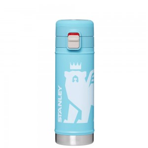 Stanley THE WILD IMAGINATION FLOWSTEADY™ BIG BEAR BOTTLE | 17 OZ Pool Cub | 40625-EWFL