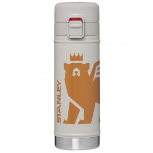 Stanley THE WILD IMAGINATION FLOWSTEADY™ BIG BEAR BOTTLE | 17 OZ Ash Cub | 31825-KZGE