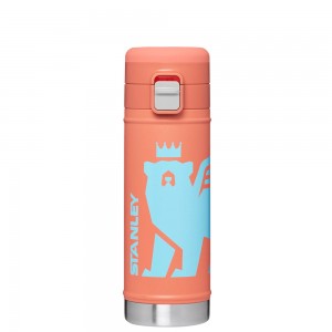 Stanley THE WILD IMAGINATION FLOWSTEADY™ BIG BEAR BOTTLE | 17 OZ Grapefruit Cub | 67943-IBXV