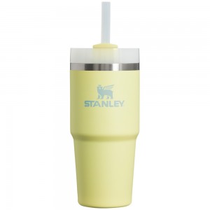 Stanley The Quencher H2.0 FlowState™ Tumbler | 14 OZ Pomelo | 46327-ZSUP