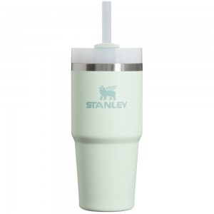 Stanley The Quencher H2.0 FlowState™ Tumbler | 14 OZ Mist | 23719-EDRS