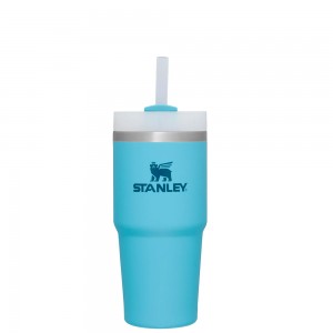 Stanley The Quencher H2.0 FlowState™ Tumbler | 14 OZ Pool | 06987-ZSMH