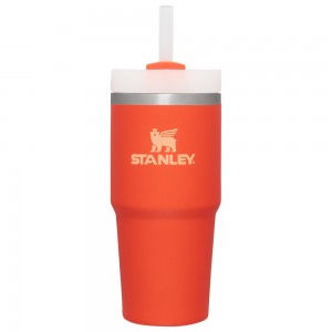 Stanley The Quencher H2.0 FlowState™ Tumbler | 14 OZ Tigerlily | 13942-YCWD