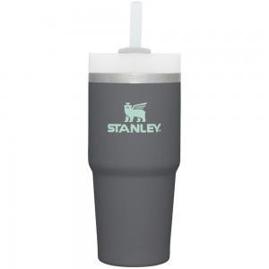 Stanley The Quencher H2.0 FlowState™ Tumbler | 14 OZ Charcoal | 26150-RWZA