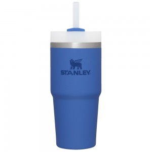 Stanley The Quencher H2.0 FlowState™ Tumbler | 14 OZ Iris | 31247-OYBD