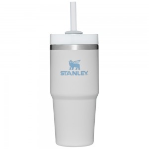 Stanley The Quencher H2.0 FlowState™ Tumbler | 14 OZ Fog | 78452-XNUD