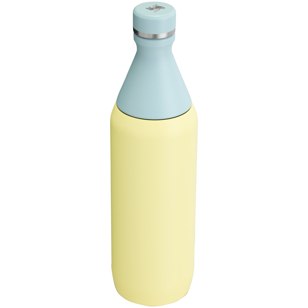 Stanley ALL DAY SLIM BOTTLE | 20 OZ Pomelo | 58390-WXQK