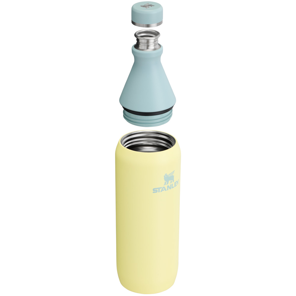 Stanley ALL DAY SLIM BOTTLE | 20 OZ Pomelo | 58390-WXQK