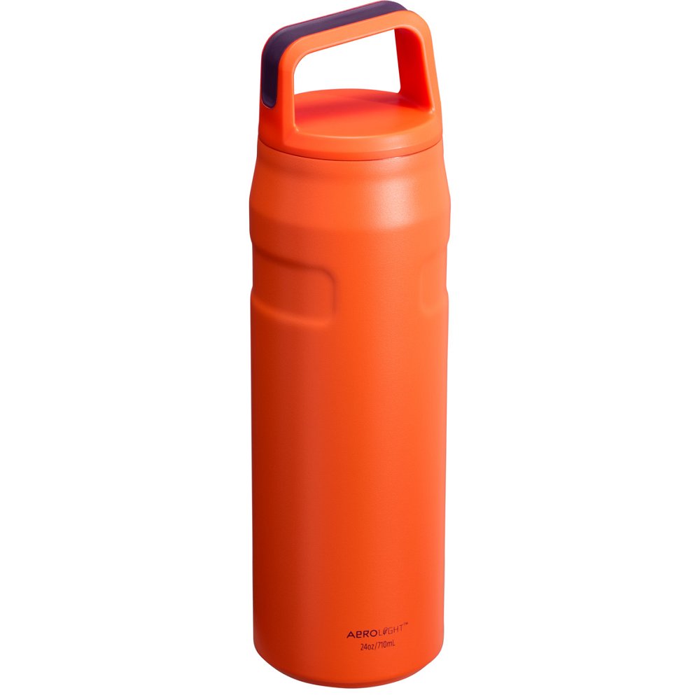 Stanley ICEFLOW™ BOTTLE WITH CAP AND CARRY+ LID | 24 OZ Plum | 34267-LMET