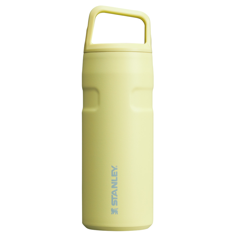 Stanley ICEFLOW™ BOTTLE WITH CAP AND CARRY+ LID | 16 OZ Pomelo | 68372-WGZI