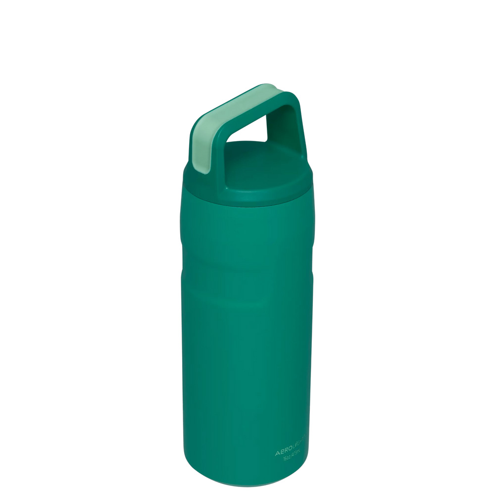 Stanley ICEFLOW™ BOTTLE WITH CAP AND CARRY+ LID | 16 OZ Alpine | 79586-FWJM