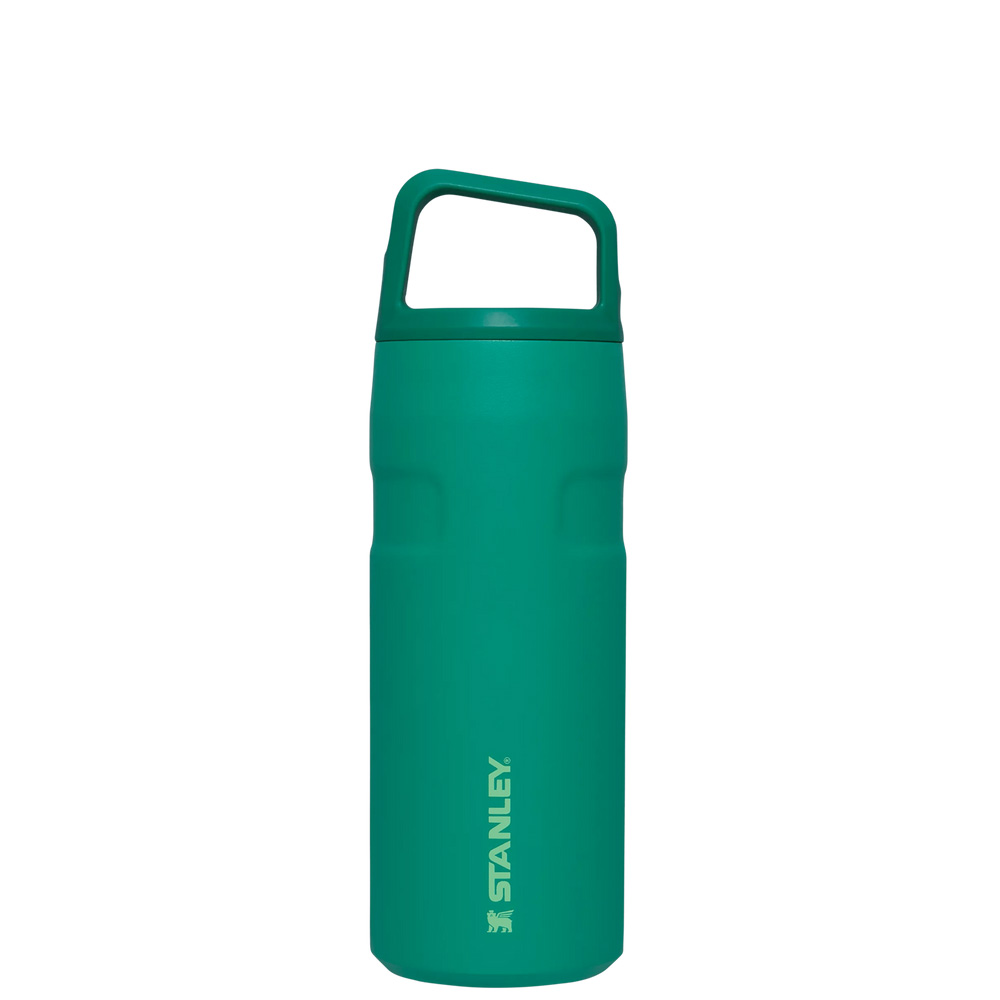 Stanley ICEFLOW™ BOTTLE WITH CAP AND CARRY+ LID | 16 OZ Alpine | 79586-FWJM