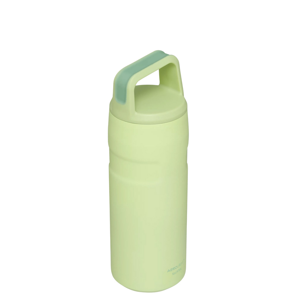 Stanley ICEFLOW™ BOTTLE WITH CAP AND CARRY+ LID | 16 OZ Citron | 03517-PYWB