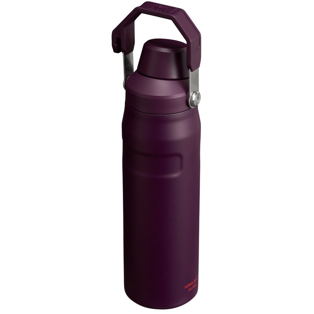 Stanley ICEFLOW™ BOTTLE WITH FAST FLOW LID | 24 OZ Plum | 78045-JBQE