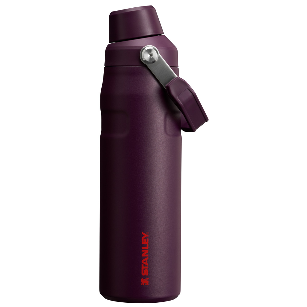 Stanley ICEFLOW™ BOTTLE WITH FAST FLOW LID | 24 OZ Plum | 78045-JBQE