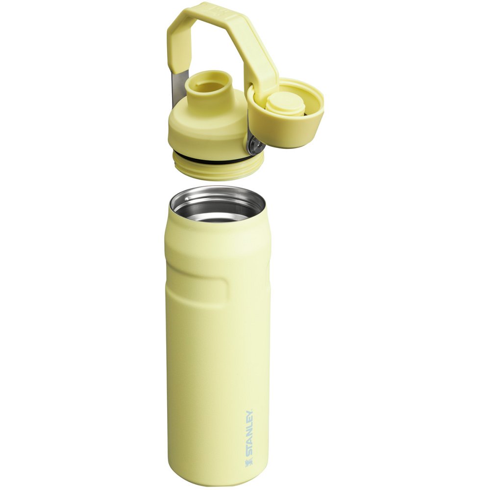 Stanley ICEFLOW™ BOTTLE WITH FAST FLOW LID | 24 OZ Pomelo | 73460-OYZA